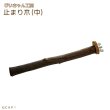 画像1: 【ぴいちゃん工房】止まり木（中）★ (1)