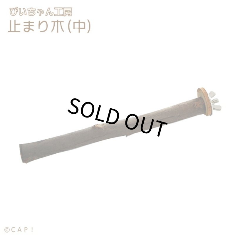 画像1: 【ぴいちゃん工房】止まり木（中）長さ:20〜27cm内外 太さ:1.5〜2.5cm内外★ (1)
