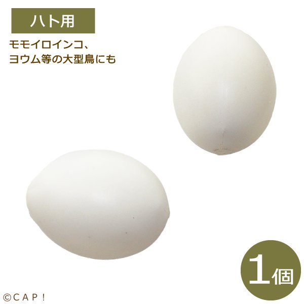 画像1: 擬卵　ハト用　1個 (1)