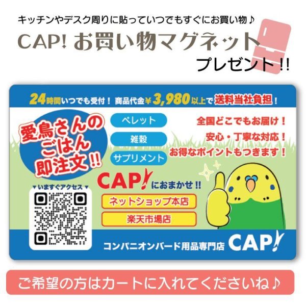 画像1: 【プレゼント】CAP!お買い物マグネット (1)