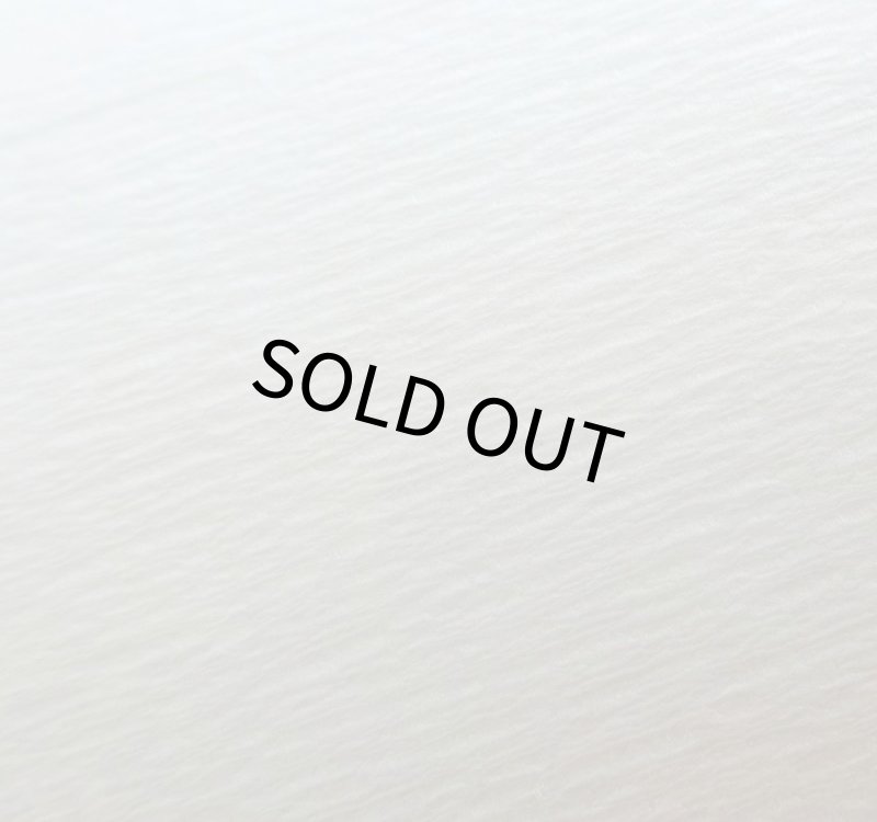 画像3: 【ハッピーホリディ】小鳥用シーツ　120枚　ホワイト (3)