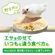 画像7: IWK 止まり木ステップ P-1680 (7)