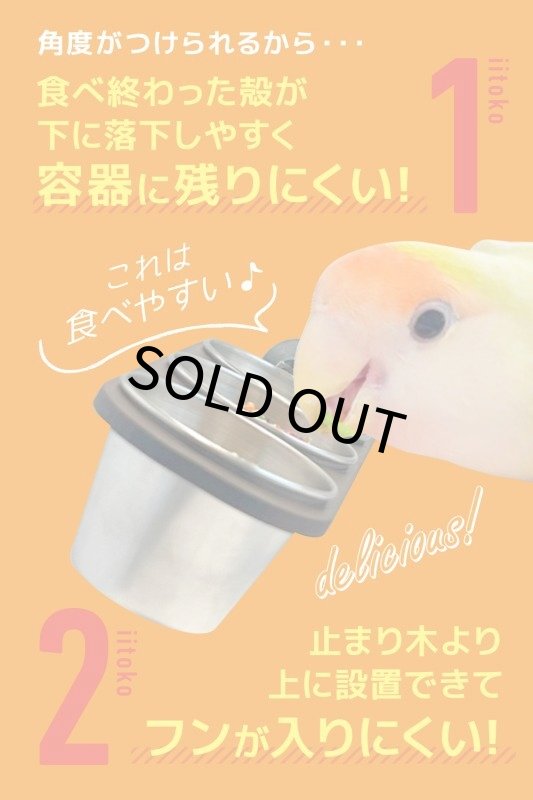 画像6: IWK バードブル P-0514 ※ウォールナット板おまけ付 (6)