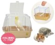 画像2: 【SANKO】K04 いっしょにおでかけ ウィズキャリー M ※取り寄せ品※※納期１〜２週間※ (2)