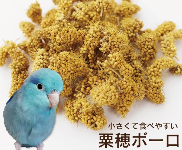 画像1: CAP! 鳥の餌 賞味期限2026/9/30 熊本県産 有機JAS認定品 粟穂ボーロ 30g (1)