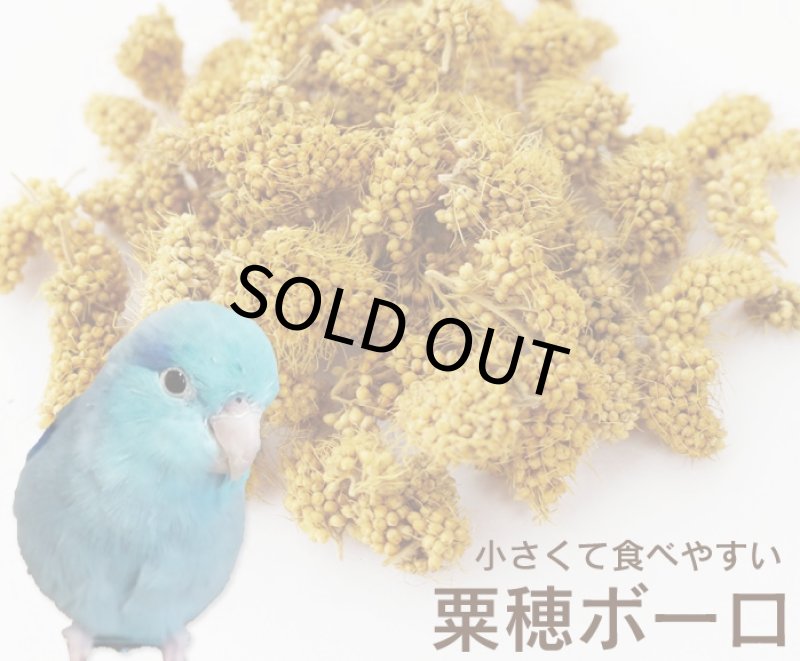 画像1: CAP! 鳥の餌 賞味期限2027/9/30　 熊本県産 有機JAS認定品 粟穂ボーロ 30g (1)