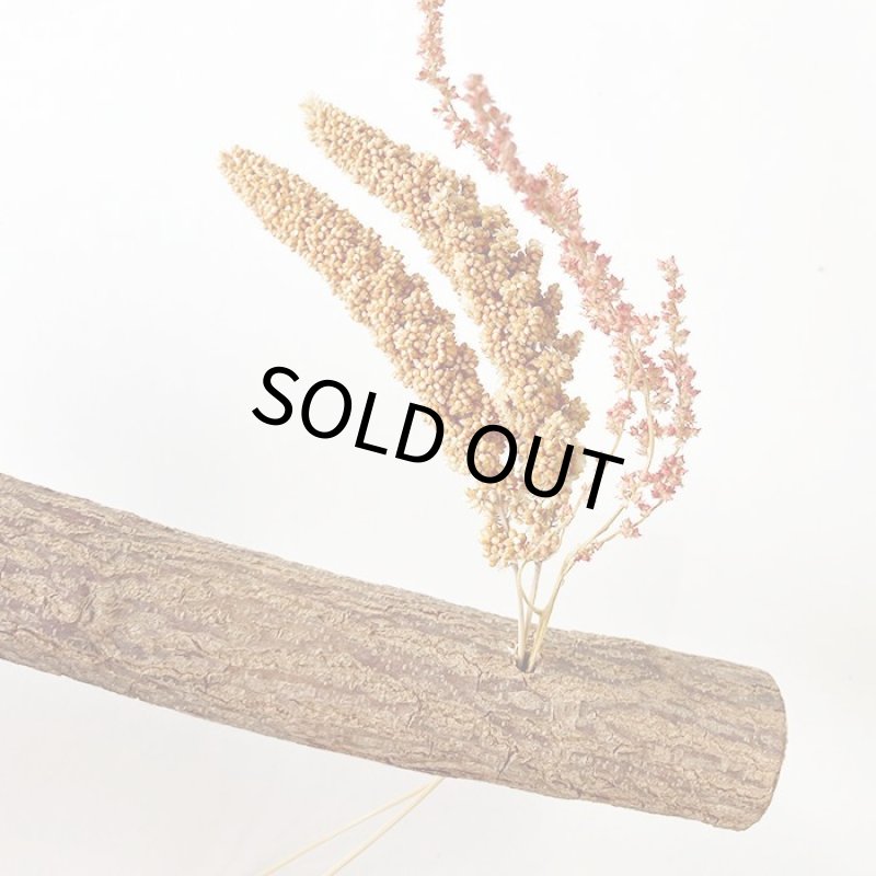 画像2: KAWAI 穂がさせる ニームパーチ long 350mm (2)