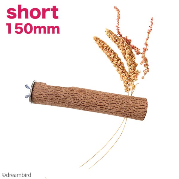 画像1: KAWAI 穂がさせる ニームパーチ short 150mm (1)