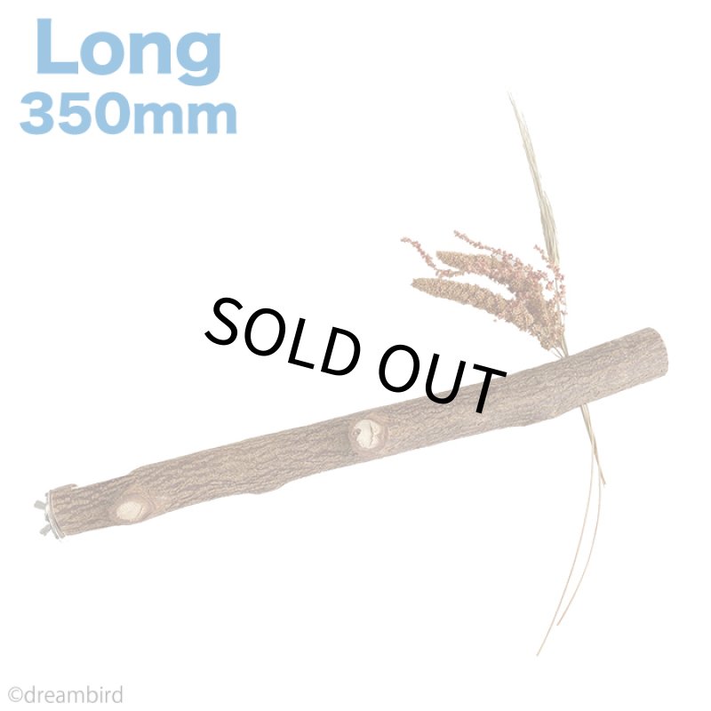 画像1: KAWAI 穂がさせる ニームパーチ long 350mm (1)