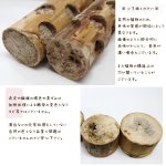 画像5: カバブ BUNNY BLAST mini 20053【１個入】※バニーブラスト ミニ※ (5)