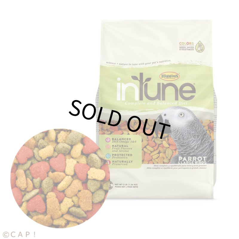 画像1: CAP! 鳥の餌 賞味期限2026/8/11【ヒギンズ】インチューンナチュラル パロット (3LB4/1.36kg))30253 (1)