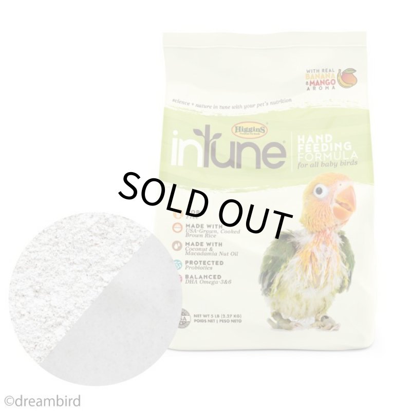 画像1: CAP! 鳥の餌 賞味期限2026/4/2【ヒギンズ】インチューン ハンドフィーディングフォーミュラ 10oz(283.5g) 30270 (1)
