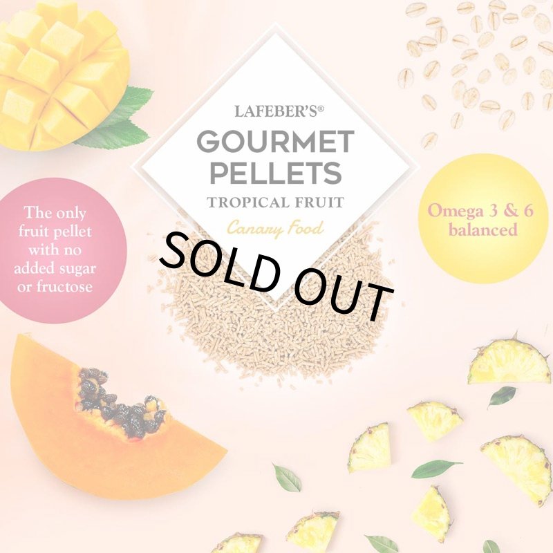 画像3: CAP! 鳥の餌 賞味期限2026/3/24 ラフィーバー グルメペレット カナリア 1.25#(567g) (3)