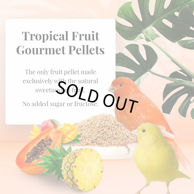 画像2: CAP! 鳥の餌 賞味期限2026/3/24 ラフィーバー グルメペレット カナリア 1.25#(567g) (2)