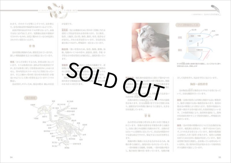 画像3: 【誠文堂新光社】よくわかるコンパニオンバードの健康と病気★ (3)