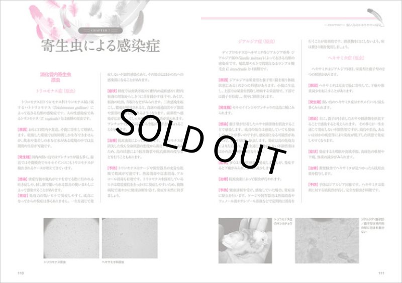 画像5: 【誠文堂新光社】よくわかるコンパニオンバードの健康と病気★ (5)