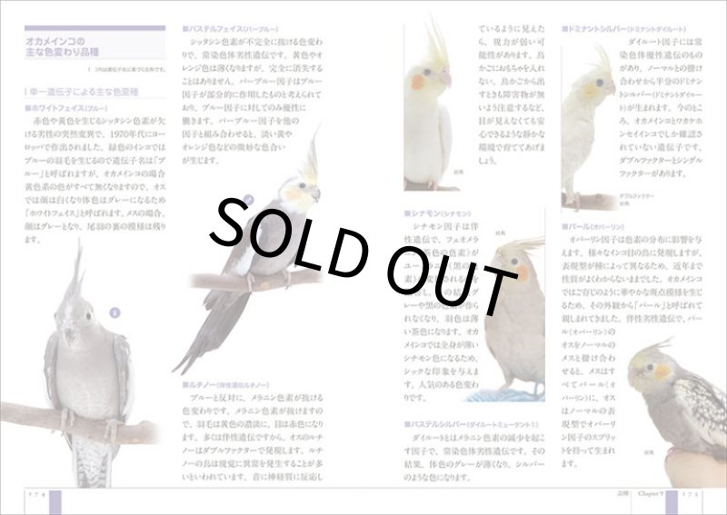 画像4: 【誠文堂新光社】増補改訂 オカメインコ完全飼育★ (4)
