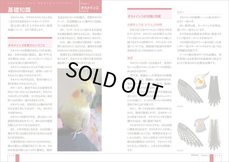 画像2: 【誠文堂新光社】増補改訂 オカメインコ完全飼育★ (2)