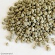画像2: CAP! 鳥の餌 賞味期限2026/12/31イースター リトルバードセレクションプロ オカメインコ用 300g (2)