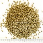 画像2: CAP! 鳥の餌 賞味期限2027/2/28イースター リトルバードセレクションプロ フィンチ用 300g (2)