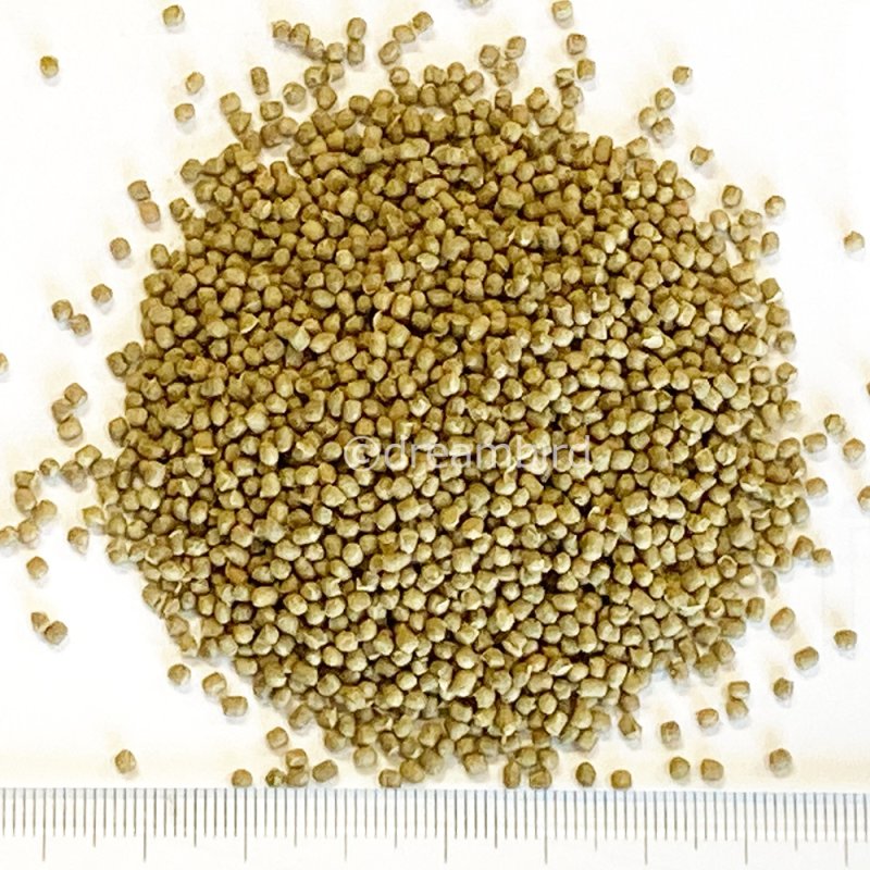 画像2: CAP! 鳥の餌 賞味期限2027/4/30イースター リトルバードセレクションプロ フィンチ用 300g (2)