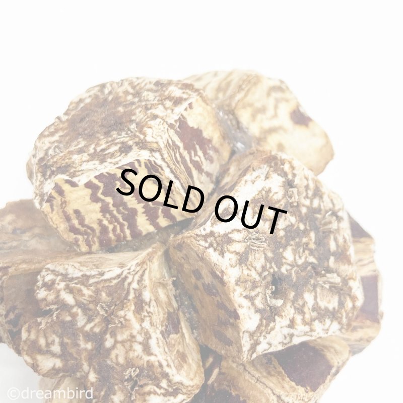 画像2: Mahogany Ball 1個 ※ボール※ ★ (2)