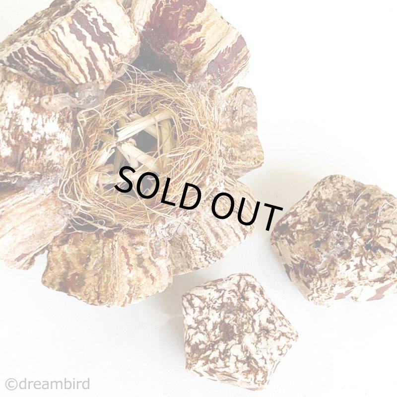 画像3: Mahogany Ball 1個 ※ボール※ ★ (3)