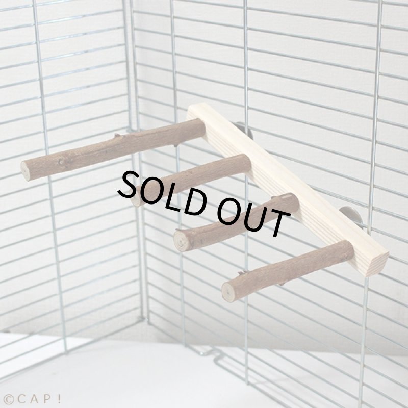 画像2: 【ぴいちゃん工房】階段止まり木★ (2)