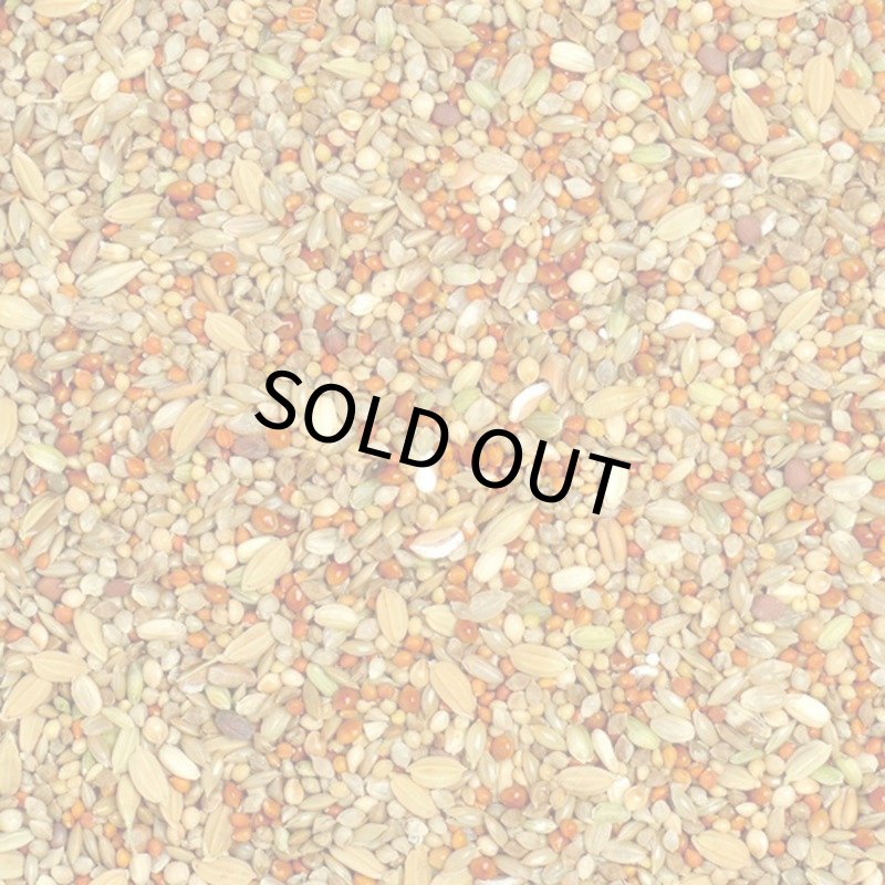 画像2: CAP! 鳥の餌 賞味期限2027/8/31 ナチュラルラックス 文鳥ブレンド 1L（約700g） (2)