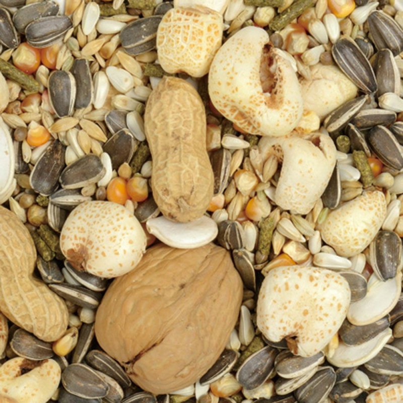 画像2: CAP! 鳥の餌 賞味期限2026/12/31 カスタムラックス パロットブレンド (2)