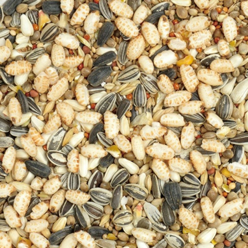 画像2: CAP! 鳥の餌 賞味期限2027/8/31 カスタムラックス 中型インコ・ボタンインコブレンド 830cc (2)