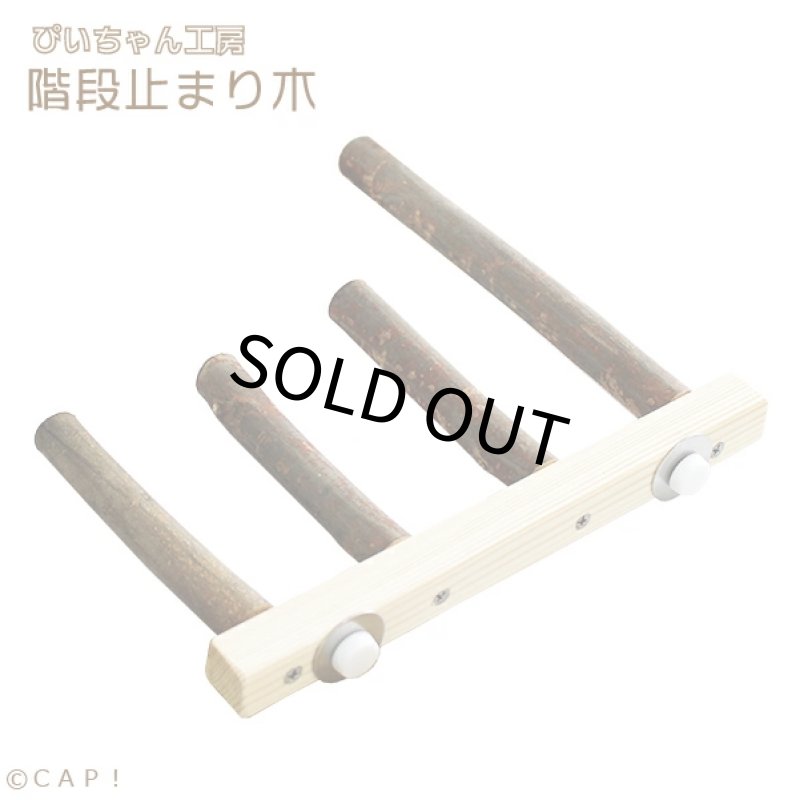 画像1: 【ぴいちゃん工房】階段止まり木★ (1)