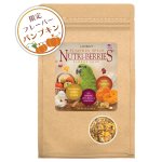 画像1: CAP! 鳥の餌 賞味期限2026/3/25 ラフィーバー パンプキンスパイス  パロット 10oz (1)