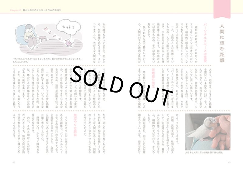 画像4: 細川博昭 著 【緑書房】インコ・オウムの心を知る本★ (4)