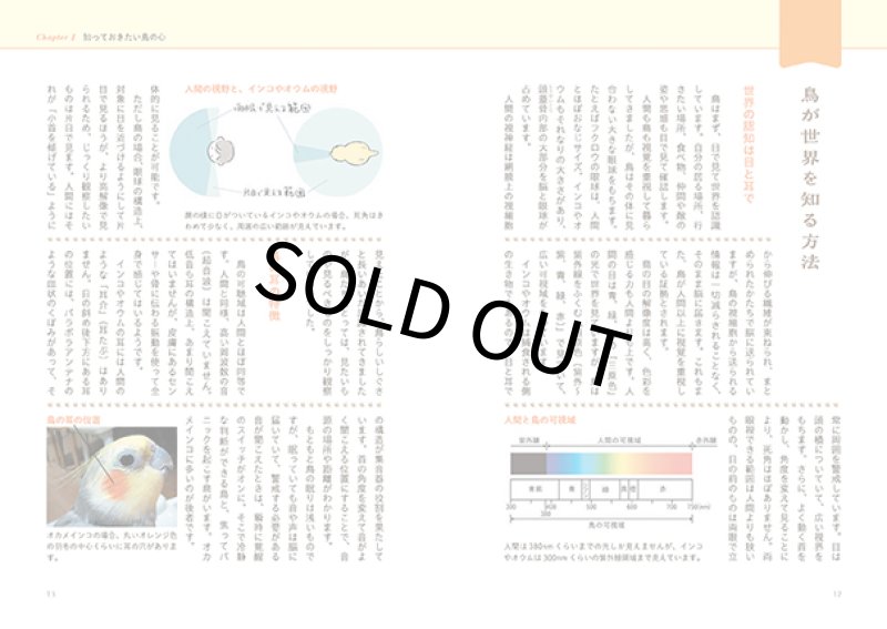 画像3: 細川博昭 著 【緑書房】インコ・オウムの心を知る本★ (3)
