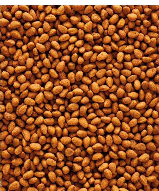 画像2: 賞味期限2026/10/31【ヴァーセレ・ラガ】※ G14オリジナル小・180g※ ニュートリバード G14オリジナル(モノカラー) 中型インコ 小袋 180g (2)