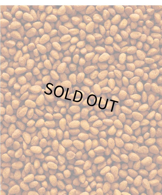 画像2: 賞味期限2026/8/31【ヴァーセレ・ラガ】※ G14オリジナル小・180g※ ニュートリバード G14オリジナル(モノカラー) 中型インコ 小袋 180g (2)