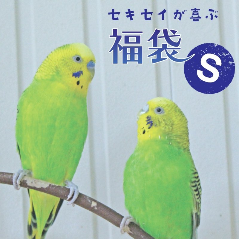 画像1: 【1/2fri20:00〜】セキセイ・マメルリハなどの小型鳥向け♪ 12,000円相当 ※同梱不可・送料込み※おひとり様一点まで※【お正月福袋】Sセット (1)