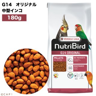 ラブバードにおすすめ