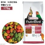 画像1: 賞味期限2026/4/30【ヴァーセレ・ラガ】※ G14トロピカル小・175g※ ニュートリバード G14トロピカル（マルチカラー） 中型インコ 小袋 175g (1)