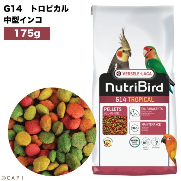 画像1: 賞味期限2025/12/31【ヴァーセレ・ラガ】※ G14トロピカル小・175g※ ニュートリバード G14トロピカル（マルチカラー） 中型インコ 小袋 175g (1)