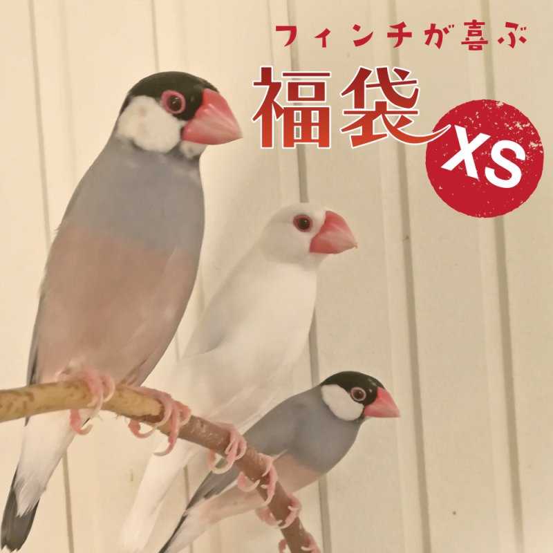 画像1: 【1/2fri20:00〜】文鳥・十姉妹などのフィンチ向け♪7000円相当以上 ※同梱不可・送料込み※※おひとり様一点まで※【福袋】XSセット (1)