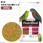 画像1: 賞味期限2026/4/30【ヴァーセレ・ラガ】※ B14小・200g※ ニュートリバード B14セキセイ&小型インコ 小袋 200g (1)