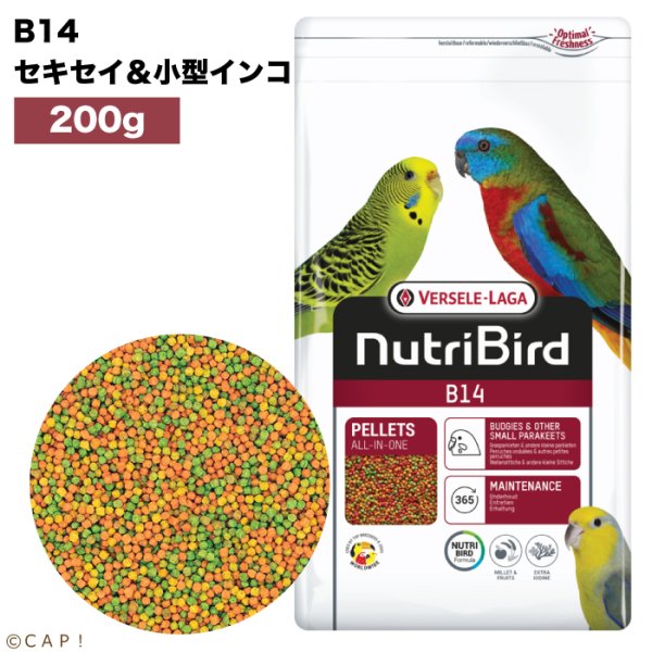 画像1: 賞味期限2026/3/31【ヴァーセレ・ラガ】※ B14小・200g※ ニュートリバード B14セキセイ&小型インコ 小袋 200g (1)