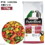 画像1: 賞味期限2026/4/30【ヴァーセレ・ラガ】※ P15トロピカル小・175g※ ニュートリバード P15トロピカル(マルチカラー) 大型インコ 小袋 175g (1)