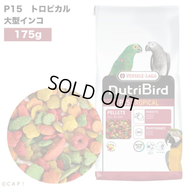 画像1: 賞味期限2026/3/31【ヴァーセレ・ラガ】※ P15トロピカル小・175g※ ニュートリバード P15トロピカル(マルチカラー) 大型インコ 小袋 175g (1)