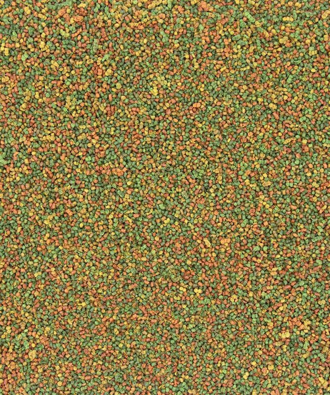 画像2: 賞味期限2026/9/30【ヴァーセレ・ラガ】※C15 小・200g※ ニュートリバード C15 カナリア&フィンチ 小袋 200g (2)