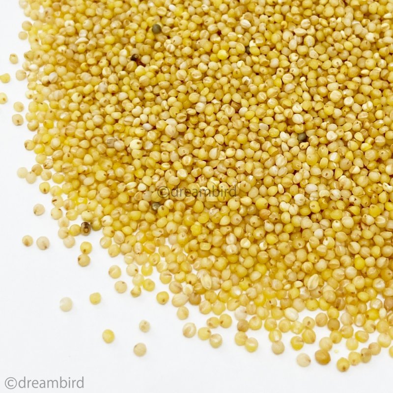 画像2: CAP! 鳥の餌 賞味期限2027/8/31【KONKI】サンハーベスト あわだま 300g (2)