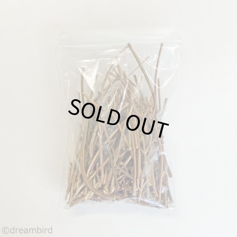 画像3: CAP! 農薬・化学肥料不使用のハーブ 【ホーリーバジル】こえだちゃんミックス★ (3)