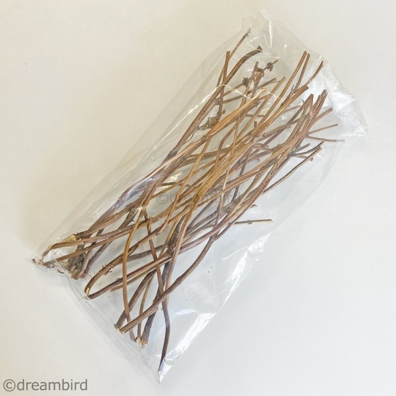 画像3: CAP! 農薬・化学肥料不使用のハーブ 【ホーリーバジル】カリカリスティック ※枝※★ (3)